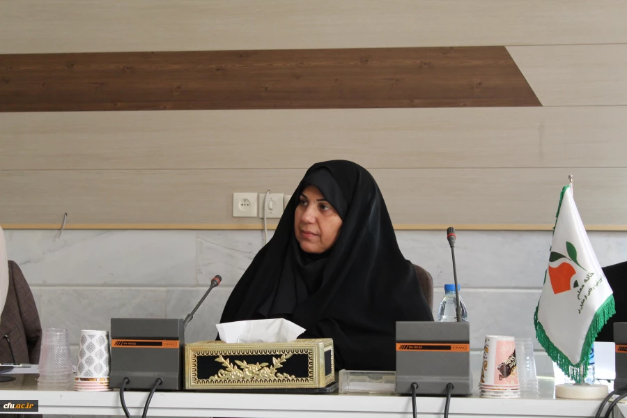 نشست تخصصی  نمایندگان سرپرستان شبانه روزی مناطق دهگانه کشور برگزار شد 6