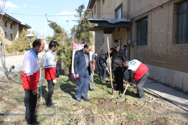 به مناسبت فرا رسیدن روز درختکاری انجام شد: غرس چندین نهال به همت کانون هلال احمر پردیس شهید مقصودی همدان