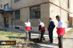 به مناسبت فرا رسیدن روز درختکاری انجام شد: غرس چندین نهال به همت کانون هلال احمر پردیس شهید مقصودی همدان