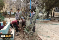 برگزاری مراسم روز درختکاری در دانشگاه فرهنگیان یزد
 4