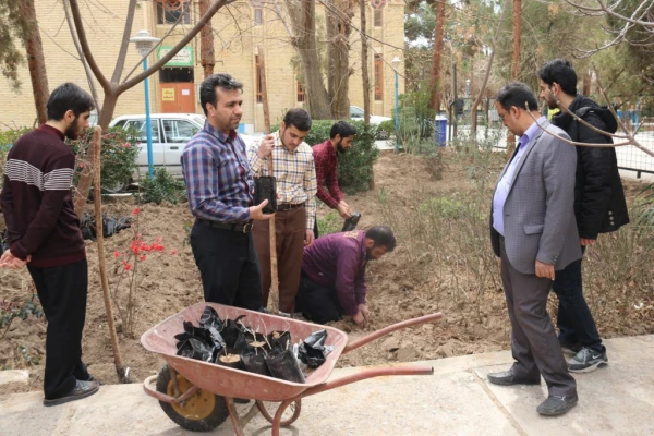 برگزاری مراسم روز درختکاری در دانشگاه فرهنگیان یزد
 5