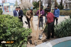 برگزاری مراسم روز درختکاری در دانشگاه فرهنگیان یزد
 8