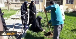 برنامه بزرگداشت هفته منابع طبیعی و روز درخت کاری در دانشگاه فرهنگیان کرمانشاه برگزار گردید 4