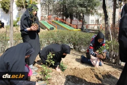 روز درختکاری در پردیس نسیبه