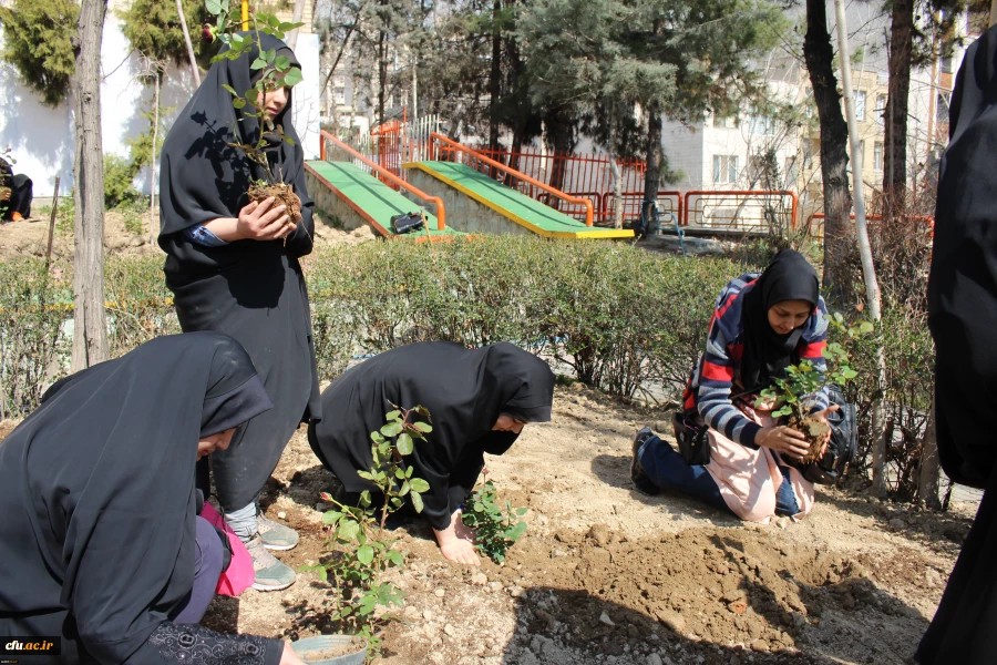 روز درختکاری در پردیس نسیبه