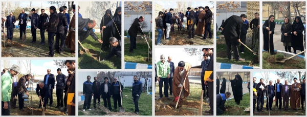 گرامی داشت روز درختکاری در اولین روز از “هفته منابع طبیعی”