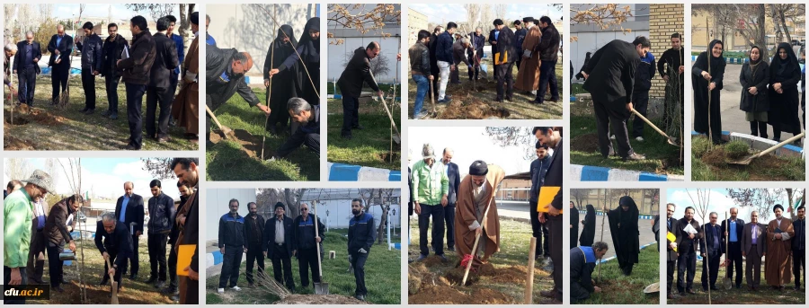 گرامی داشت روز درختکاری در اولین روز از “هفته منابع طبیعی”