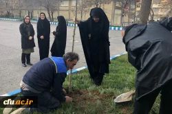 گرامی داشت روز درختکاری در اولین روز از “هفته منابع طبیعی”