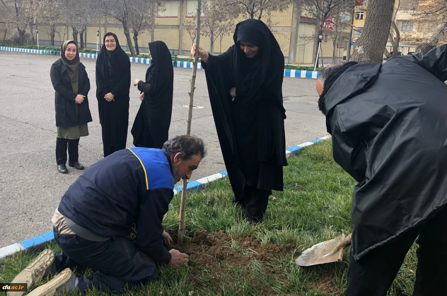 گرامی داشت روز درختکاری در اولین روز از “هفته منابع طبیعی”