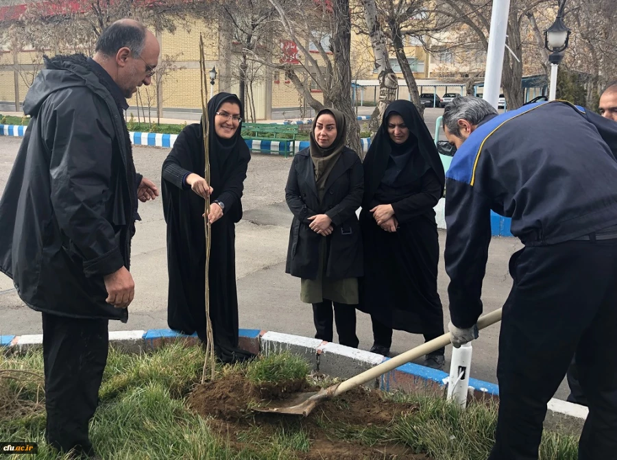 گرامی داشت روز درختکاری در اولین روز از “هفته منابع طبیعی”