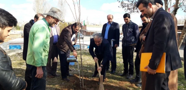 گرامی داشت روز درختکاری در اولین روز از “هفته منابع طبیعی”