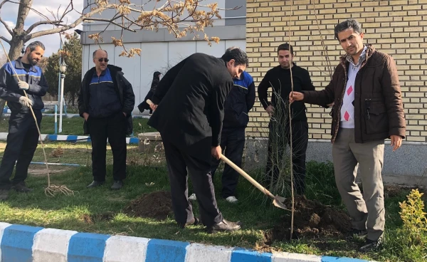گرامی داشت روز درختکاری در اولین روز از “هفته منابع طبیعی”