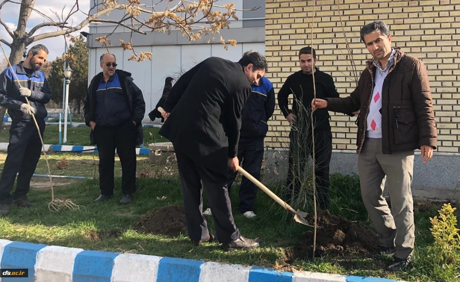 گرامی داشت روز درختکاری در اولین روز از “هفته منابع طبیعی”