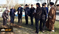 گرامی داشت روز درختکاری در اولین روز از “هفته منابع طبیعی”