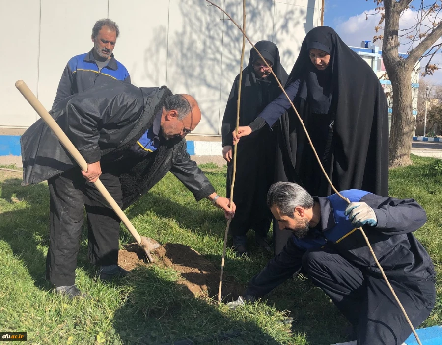 گرامی داشت روز درختکاری در اولین روز از “هفته منابع طبیعی”