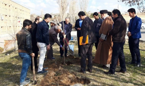 گرامی داشت روز درختکاری در اولین روز از “هفته منابع طبیعی”