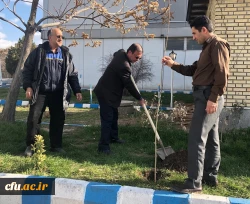 گرامی داشت روز درختکاری در اولین روز از “هفته منابع طبیعی”