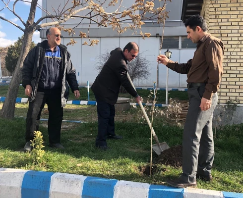 گرامی داشت روز درختکاری در اولین روز از “هفته منابع طبیعی”