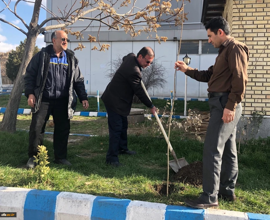 گرامی داشت روز درختکاری در اولین روز از “هفته منابع طبیعی”