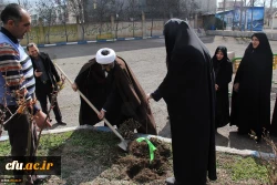 به مناسبت فرا رسیدن روز درختکاری انجام شد:

غرس چندین اصله نهال در پردیس های دانشگاه فرهنگیان اردبیل  2