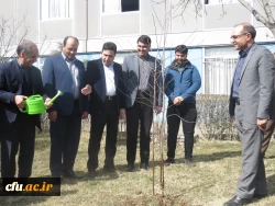 به مناسبت فرا رسیدن روز درختکاری انجام شد:

غرس چندین اصله نهال در پردیس های دانشگاه فرهنگیان اردبیل  3