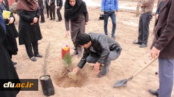 روز درختکاری در پردیسس شهید رجایی سمنان 9