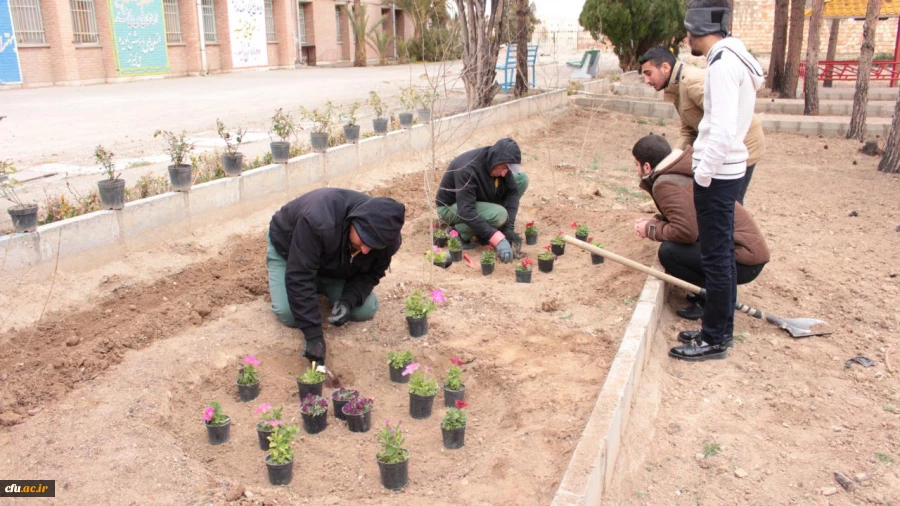 روز درختکاری در پردیسس شهید رجایی سمنان 11