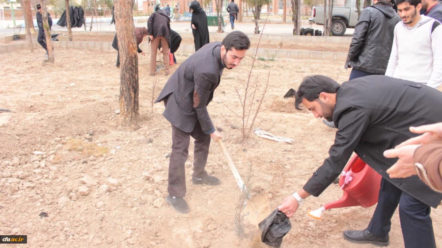 روز درختکاری در پردیس شهید رجایی سمنان 7