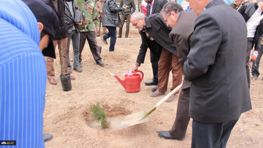 روز درختکاری در پردیس شهید رجایی سمنان 12