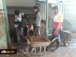گزارش تصویری از اردوی جهادی دانشجومعلمان استان تهران در کمک به مناطق سیل زده 10