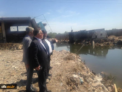 معاون نظارت، ارزیابی و تضمین کیفیت دانشگاه فرهنگیان:

امداد رسانی جهادی گروه 400 نفره چمران سید علی به سیل زدگان خوزستانی ستودنی است