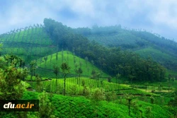 مدیریت امور پردیس های استان گلستان 2