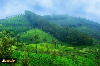 مدیریت امور پردیس های استان گلستان