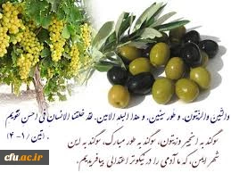 "مراقبت های اولیه بهداشتی راهی به سوی پوشش همگانی سلامت"
 2