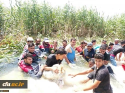 اعزام اردو جهادی دانشجو معلمان دانشگاه فرهنگیان استان فارس در مناطق آسیب دیده از قبیل:شوشتر،اهواز و دارخوین 7