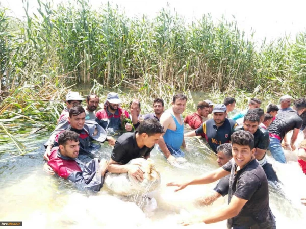 اعزام اردو جهادی دانشجو معلمان دانشگاه فرهنگیان استان فارس در مناطق آسیب دیده از قبیل:شوشتر،اهواز و دارخوین 7