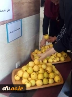 بازدید سرپرست و معاون توسعه منابع و امور دانشجویی پردیس بنت الهدی صدر بوشهر ازبرنامه های هفته سلامت این پردیس 6