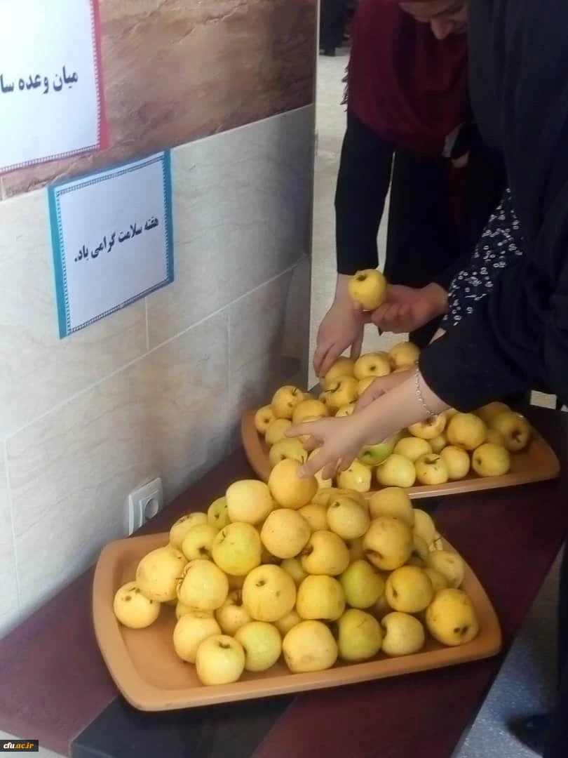 بازدید سرپرست و معاون توسعه منابع و امور دانشجویی پردیس بنت الهدی صدر بوشهر ازبرنامه های هفته سلامت این پردیس 6