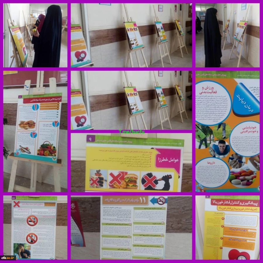 بازدید سرپرست و معاون توسعه منابع و امور دانشجویی پردیس بنت الهدی صدر بوشهر ازبرنامه های هفته سلامت این پردیس 9