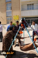 به مناسبت دهه سرآمدی آموزش و بزرگداشت مقام معلم همایش دانشجویی قومیت های دانشگاه فرهنگیان فارس با دعوت از نمایندگانی از سایر دستگاهها برگزار گردید 9