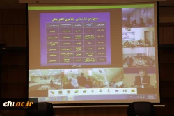 406848_1291169960_4464_2976