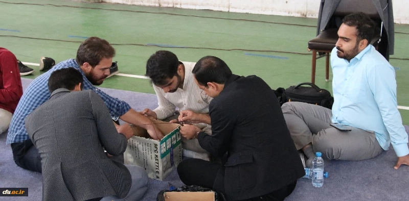 تیم نیک از پردیس شهید باهنر دانشگاه فرهنگیان کرمان در مسابقه نجات تخم مرغ به مقام قهرمانی دست یافت.