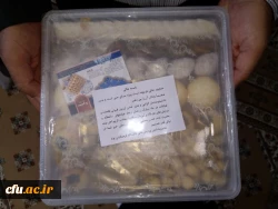 همزمان با میلاد کریم اهل بیت امام حسن مجتبی (ع) صورت گرفت:

بازدید از سراهای دانشجویی پردیس های استان یزد
 11