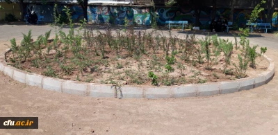 بهینه سازی فضای سبز پردیس بنت الهدی صدر قزوین با همکاری شهرداری