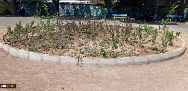 بهینه سازی فضای سبز پردیس بنت الهدی صدر قزوین با همکاری شهرداری 2