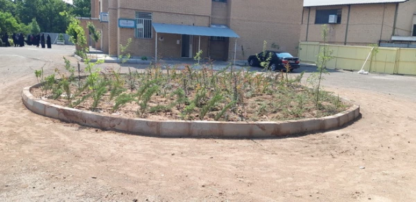 بهینه سازی فضای سبز پردیس بنت الهدی صدر قزوین با همکاری شهرداری 3