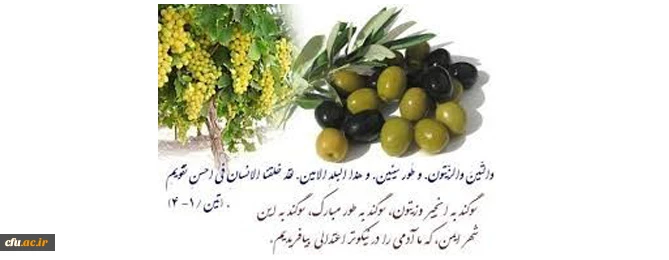 مراقبت های اولیه بهداشتی راهی به سوی پوشش همگانی سلامت 3