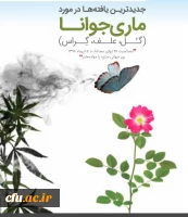 پنجم تیر ماه به عنوان 