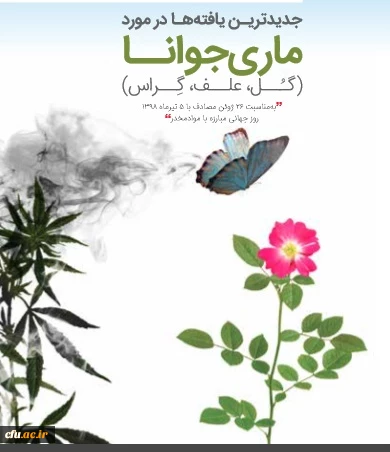 پنجم تیر ماه به عنوان "روز جهانی مبارزه با مواد مخدر" 

بیشتر بدانیم سالم بمانیم 2