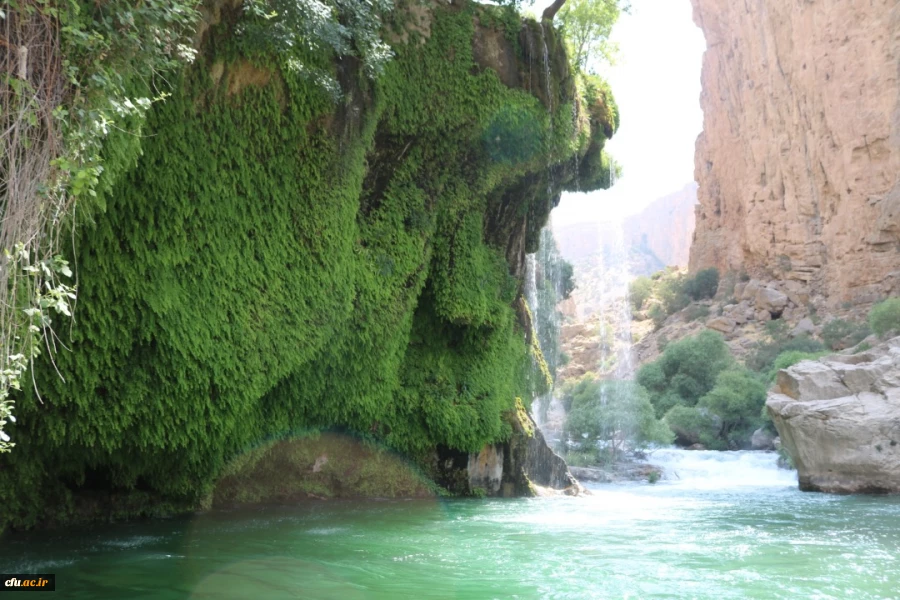 اردوی یک روزه روسای پردیس ها و کارکنان دانشگاه فرهنگیان فارس  به شهر اقلید برگزار شد  6